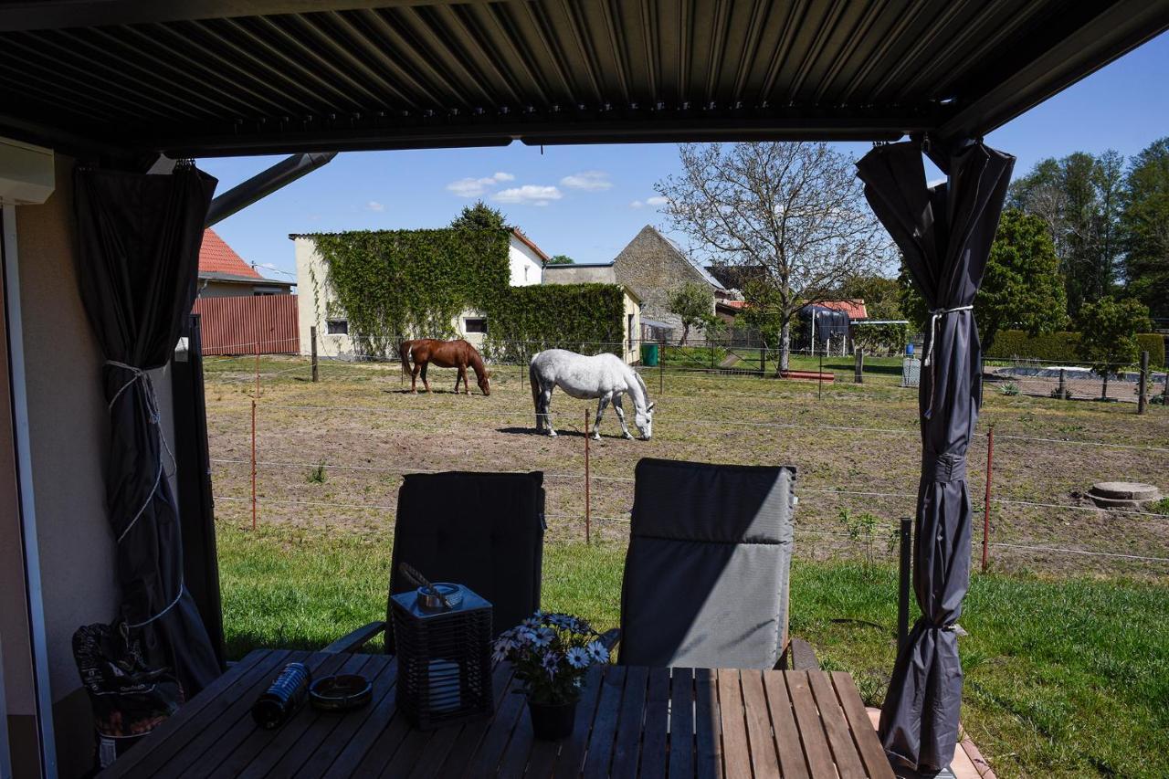 Barrierefreie Ferienwohnung Trueben Bornum Экстерьер фото